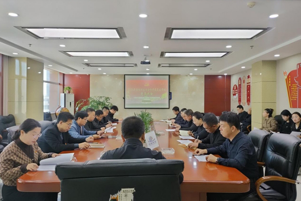 中共中臨建設集團股份有限公司支部委員會 召開2024年度組織生活會暨民主評議 黨員大會